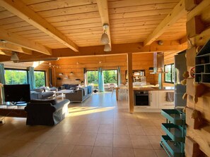 Smart TV, fireplace, DVD player, books