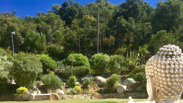 A Buddha statue by a pool with a stone patio, surrounded by lush greenery and a clear blue sky. - Beautiful house surrounded by an idyllic garden with salt water pool. (Calonge)