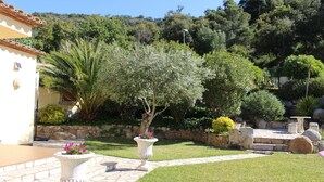 A landscaped garden with a stone pathway, a palm tree, and a variety of shrubs and flowers. - Beautiful house surrounded by an idyllic garden with salt water pool. (Calonge)