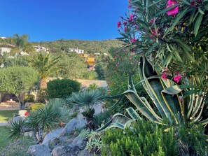 المنطقة المحيطة بالمنشأة