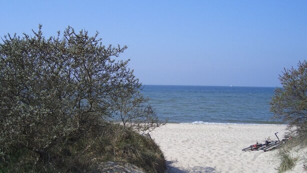 En sandstrand med sparsom beplantning og frit udsyn til havet.