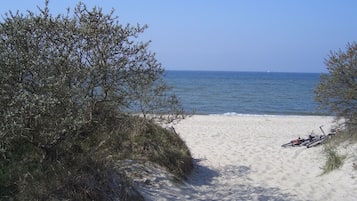 In Strandnähe, Liegestühle