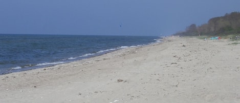Playa en los alrededores y camastros