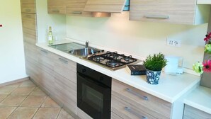 A modern kitchen with wooden cabinets, a gas stove, a built-in oven, and a small potted plant on the countertop. - Directly on the lake on the second floor and with a garden on the first floor (Idro)