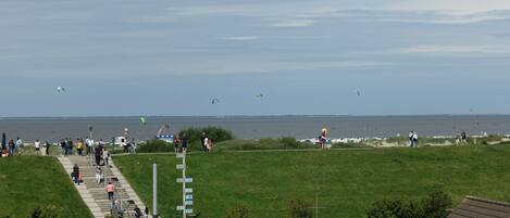 Utsikt från boendet