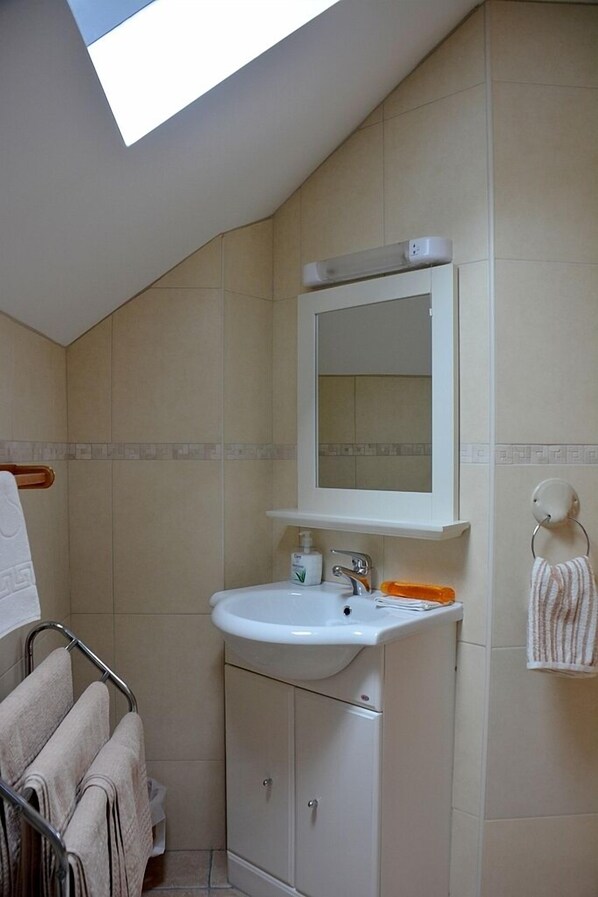 Une salle de bain avec un puits de lumière, un lavabo, un miroir et un porte-serviettes.