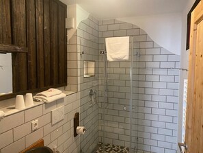 A bathroom with a shower, a mirror, and a towel rack. - Exclusive ***** 6 apartments for 12-27 persons To Bergwiese (Fürstenau)