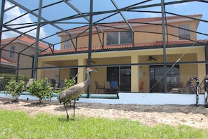 Property grounds - Perfect spacious home with pool, ideal for families visiting Disney or golfers (Davenport)