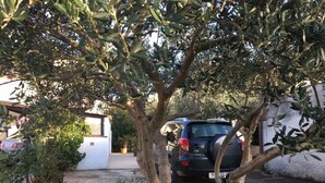 Property grounds - in a village with garden, air condition and barbecue (Valtura)