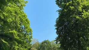 A two-story building surrounded by lush greenery and trees. - Modern apartment in spacious villa, 3,000 sqm property, south-facing slope, forest, WIFI (Michendorf OT Wilhelmshorst)
