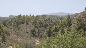 Un paisaje montañoso con densa vegetación.