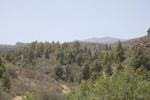 Paesaggio montuoso con fitta vegetazione.