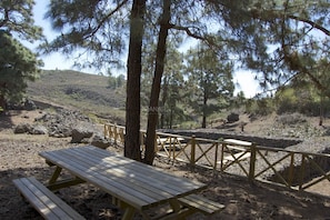 Una mesa de picnic y bancos en un entorno natural con árboles y un muro de piedra.