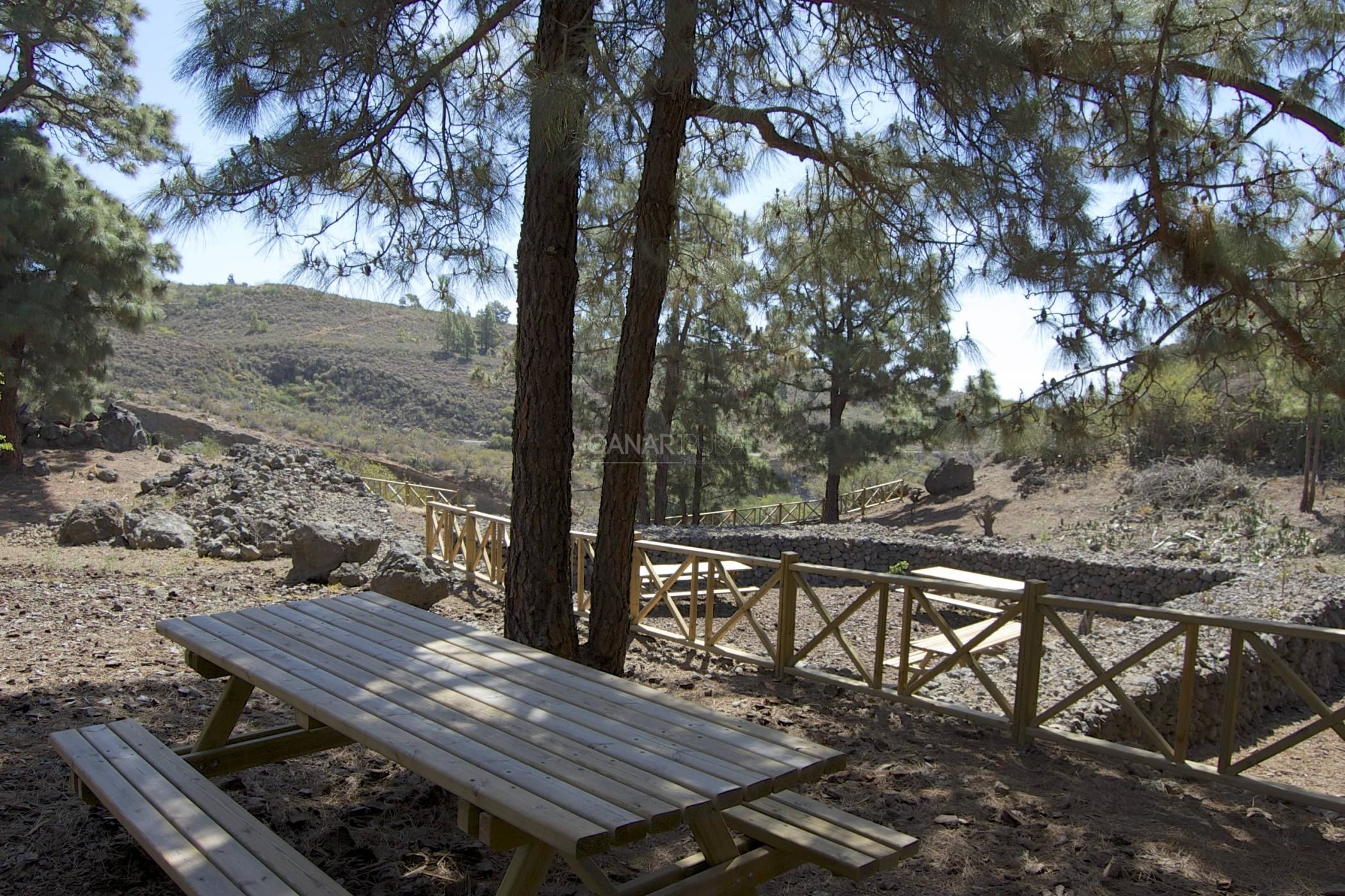 Een picknicktafel en banken in een natuurlijke omgeving, met bomen en een stenen muur.
