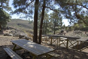 Una mesa de picnic y bancos en un entorno natural con árboles y un muro de piedra.