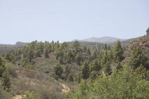 A mountainous landscape with dense forestation.