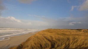 On the beach - Exclusive vacation apartment in a spectacular,quiet dune location near the sea (Hörnum)