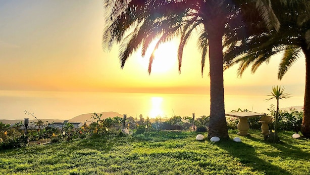 A garden with palm trees, a bench, and a view of the sunset over the water. - Großzüg. House with panoramic views of sea, mountains & valley + optional apartment (Tajuya)