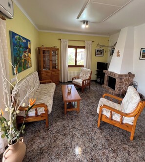 TV, fireplace, books, music library