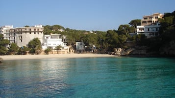 Lettini da mare