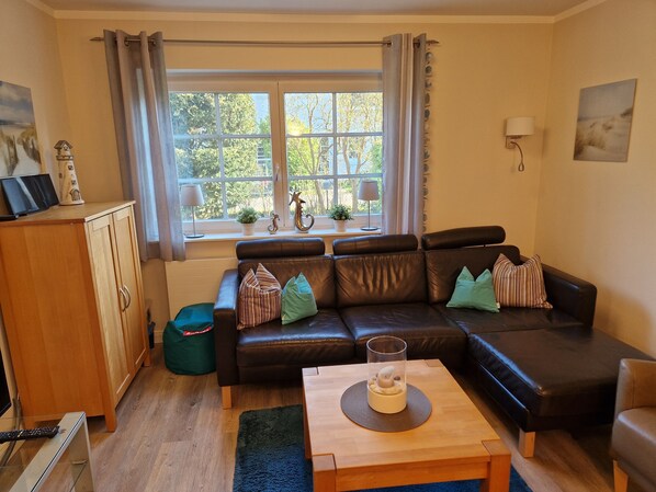 Smart TV, fireplace, DVD player, books