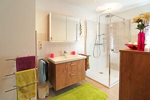 Douche, sèche-cheveux, serviettes fournies, papier toilette