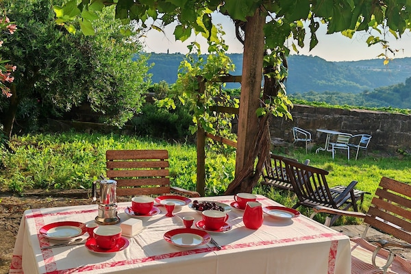 Terrasse mit Garten