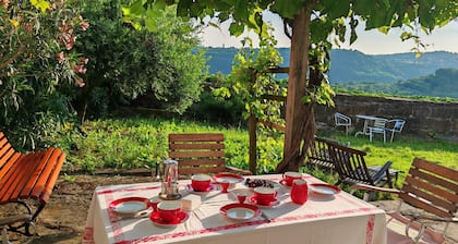Old farmhouse in the heart of the 'Slovenian Tuscany'