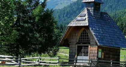 cozy studio apartment in chalet style, incl. Parking, WiFi and much more.