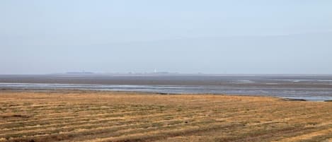 Beach nearby, beach towels