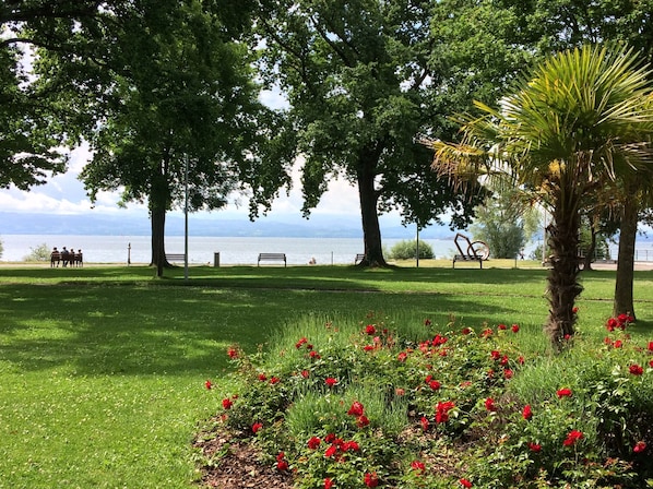 Property grounds - Vacation apartment near the lake in FN-Fischbach, 70 sqm, with private garden area (Friedrichshafen)