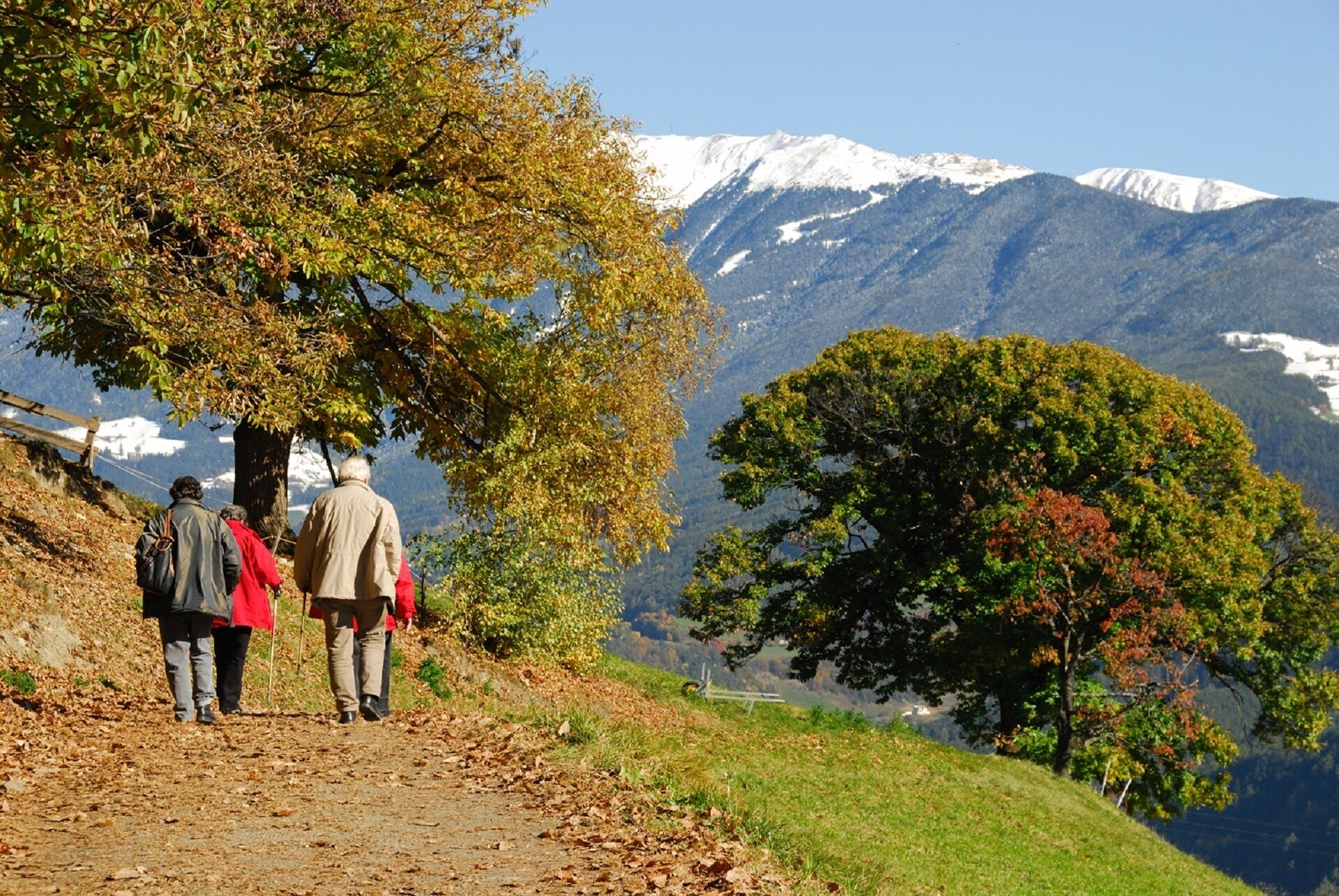 En grupp människor som promenerar på en grusväg med träd och ett berg i bakgrunden.