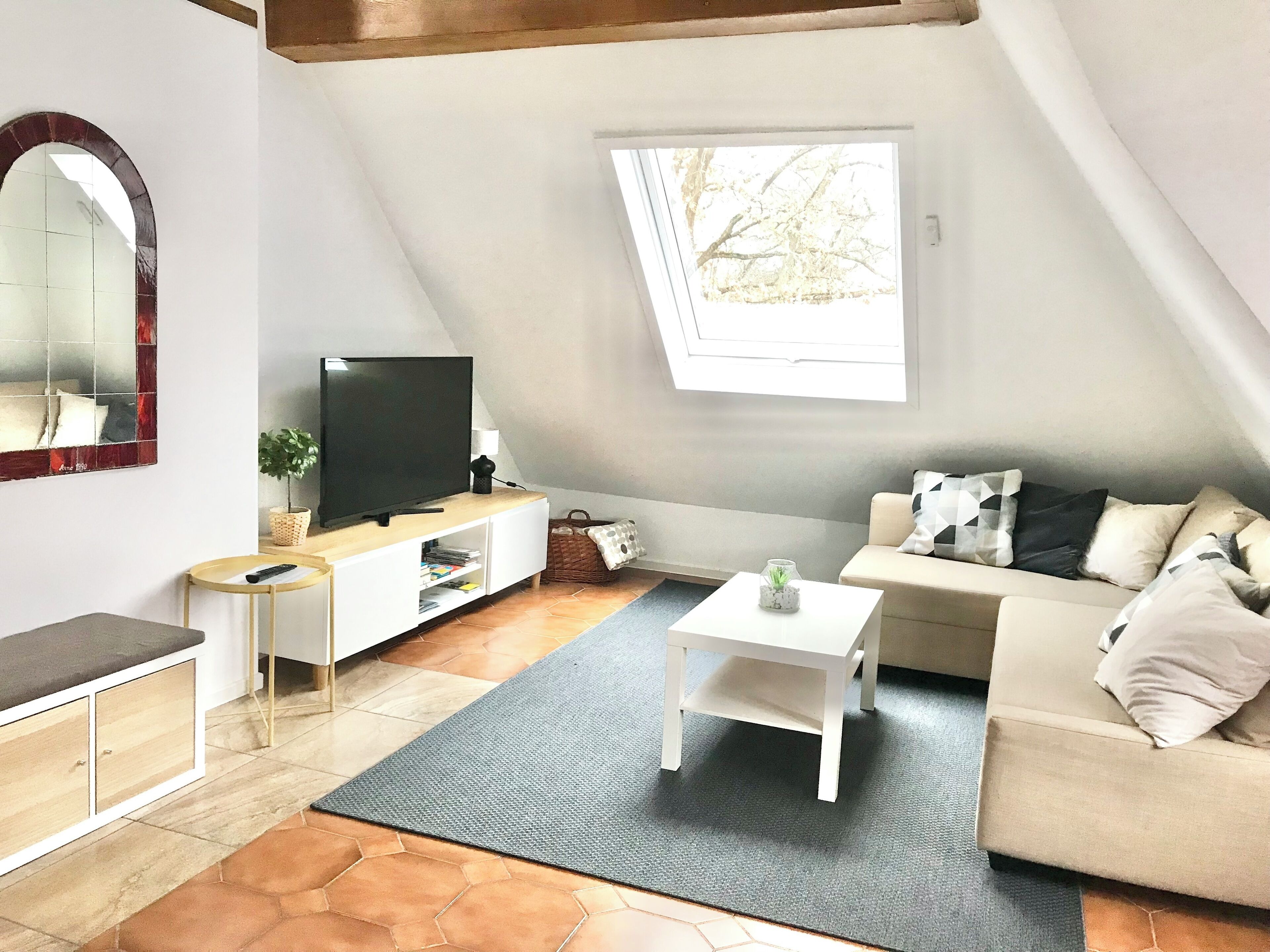 Smart TV, DVD player, books