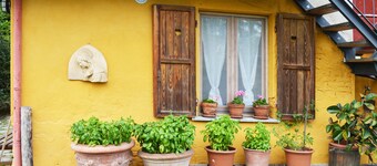 Culture and nature, peace and quiet, big city and mountains