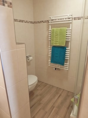 Regadera, secadora de cabello, toallas, papel de baño