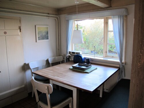 Thatched Frisian house from 1860, ideal family accommodation Pet-friendly