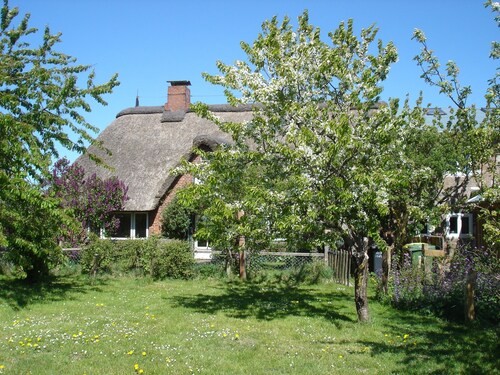 Thatched Frisian house from 1860, ideal family accommodation Pet-friendly