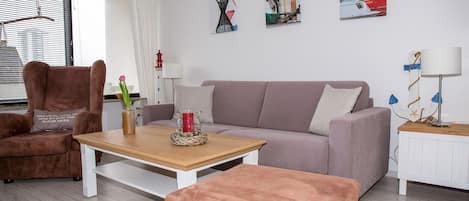 TV, DVD player, books, video library