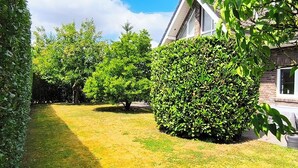 A well-maintained garden with trimmed hedges and a lawn in front of a house with a brick facade and a window. - Fantastic holiday home on the left Lower Rhine between the Rhine and Wisseler See (Kalkar)