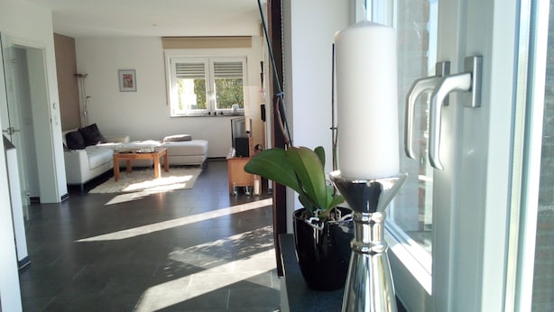 A modern living room with a sofa, coffee table, and a potted plant. - Fantastic holiday home on the left Lower Rhine between the Rhine and Wisseler See (Kalkar)
