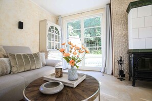 Smart TV, fireplace, DVD player, books