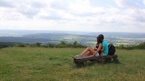 A couple sitting on a bench overlooking a scenic landscape.