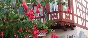 spacious 1-room apartment (65 sqm) with kitchen, separate bathroom with shower