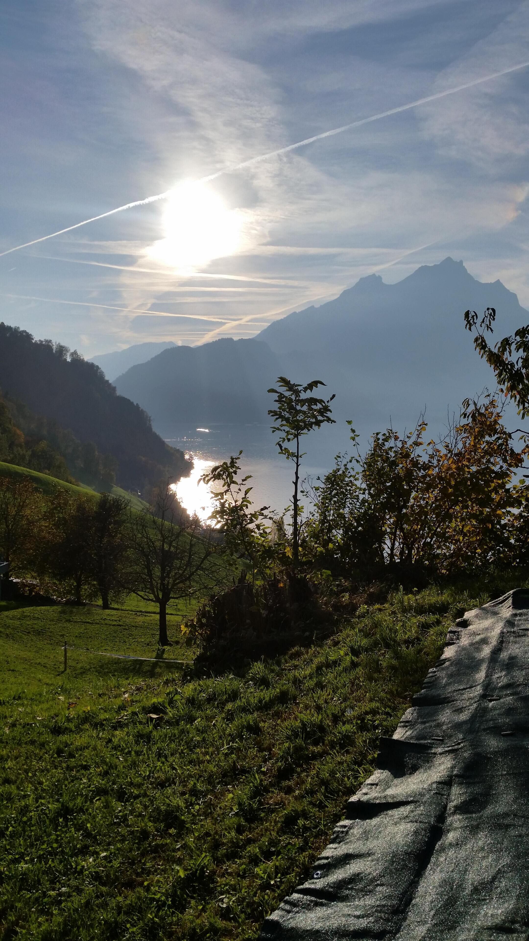 Un paysage magnifique, avec des montagnes, une rivière, des arbres et un ciel dégagé.