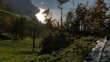 Un paysage magnifique, avec des montagnes, une rivière, des arbres et un ciel dégagé.