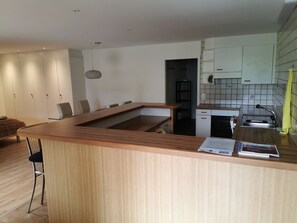Fridge, microwave, oven, stovetop - spacious 1-room apartment (65 sqm) with kitchen, separate bathroom with shower (Horw)