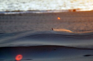 Nær stranden og solsenger