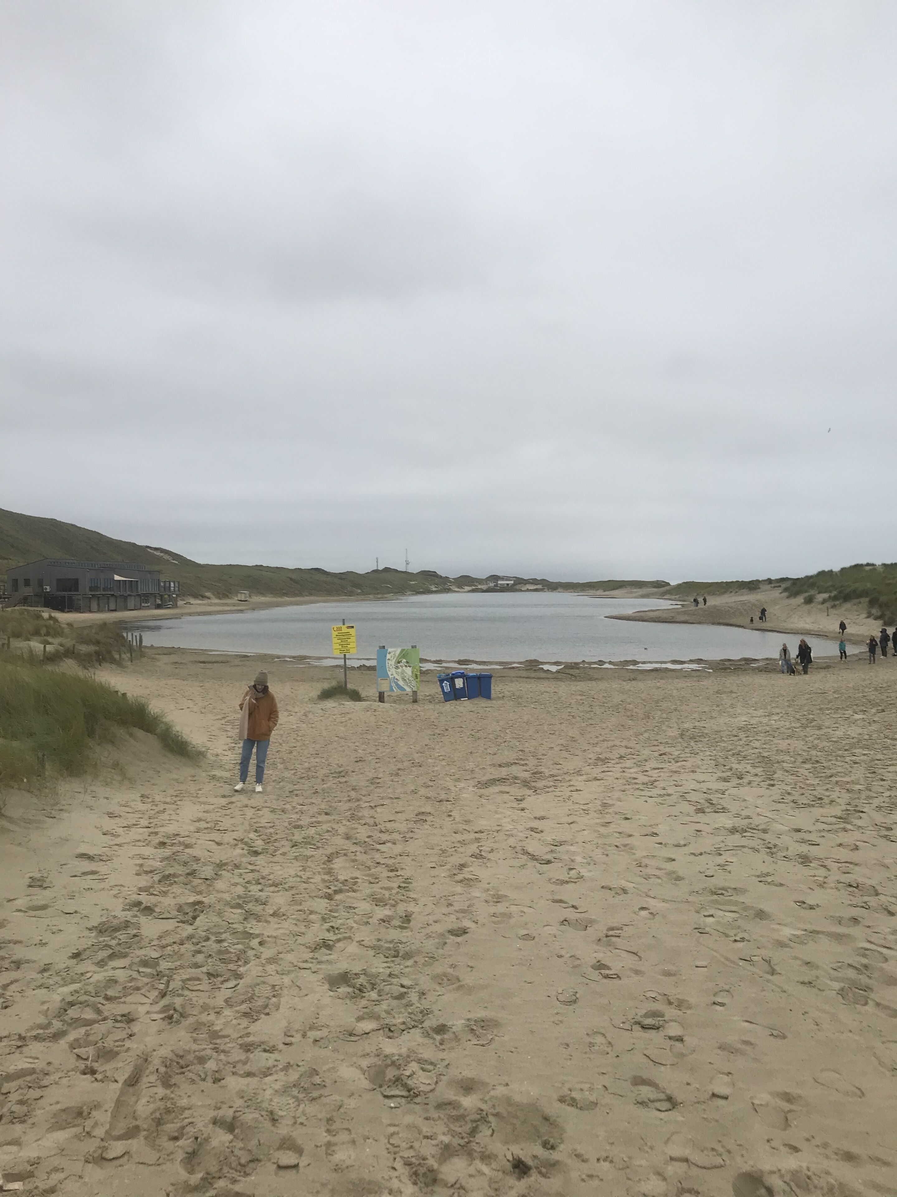 A sandy beach with a person walking towards the water, a sign, and trash bins.