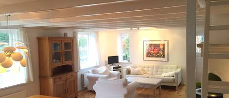 Una Smart TV, una chimenea, un reproductor de DVD, libros