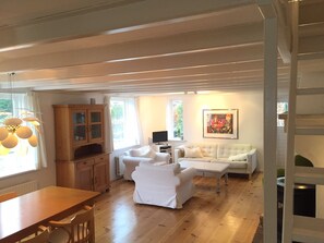 Téléviseur connecté, foyer, lecteur de DVD, livres